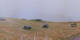 Donville-les-Bains 22.06.2025 07:04