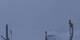 Crans-Montana 06.05.2025 07:34