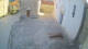 Jelsa (Hvar) 20.06.2026 07:35