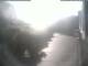 Radolfzell am Bodensee 10.07.2025 07:49