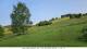 Todtnau 09.06.2025 07:49