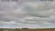 Hallig Hooge 09.07.2025 07:50