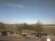 Baabe (Rügen) 23.04.2025 07:50