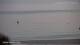 Nigran 09.06.2025 07:50