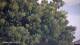 Nigran 09.06.2025 07:50
