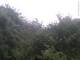 Herdecke 09.06.2025 07:50