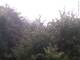 Herdecke 14.07.2025 07:53