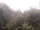 Herdecke 05.07.2025 07:50