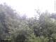 Herdecke 06.07.2025 07:50
