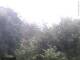 Herdecke 22.05.2025 07:50