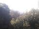 Herdecke 11.05.2025 07:50