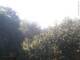 Herdecke 18.04.2025 07:50