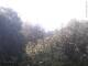 Herdecke 29.04.2025 07:50