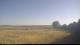 Crawinkel 18.06.2025 07:50