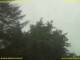Nettetal 11.07.2025 07:50