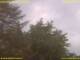 Nettetal 13.07.2025 07:53