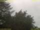 Nettetal 06.07.2025 07:50