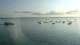 Fouesnant 15.06.2025 07:51
