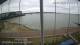 Brightlingsea 05.07.2025 07:51