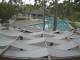 Punta Cana 22.06.2025 07:51
