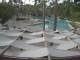 Punta Cana 06.07.2025 07:51