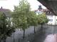 Rimbach 15.06.2025 07:45