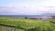 Laukvik 15.06.2025 07:52
