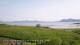 Laukvik 04.06.2025 07:52