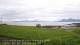 Laukvik 09.06.2025 07:52