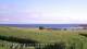 Laukvik 14.07.2025 07:56