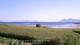 Laukvik 16.07.2025 07:56