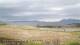 Laukvik 10.05.2025 07:52