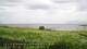 Laukvik 15.06.2025 07:52