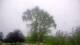 Harriman, New York 15.06.2025 07:51