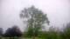 Harriman, New York 08.06.2025 07:51
