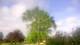 Harriman, New York 15.07.2025 07:51