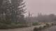 Wishkah, Washington 11.07.2025 07:55