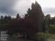 Son en Breugel 15.06.2025 08:46