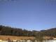 Neuenhof im Aargau 01.07.2025 08:52