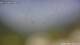Pettneu 15.06.2025 08:46