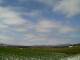 Kitami 01.05.2025 08:56