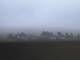 Aomori 01.05.2025 08:06