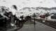 Finse 20.05.2025 08:46