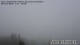 Lienz 14.03.2025 08:44