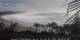 Bonny Hills 16.03.2025 08:53