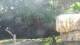 San Diego, California 04.07.2025 08:53