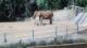 Escondido, California 08.05.2025 08:53