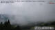 Mittersill 05.07.2025 08:44