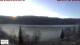 Titisee-Neustadt 21.01.2025 08:54