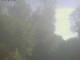 Ittigen 09.07.2025 08:46